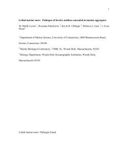 Marine Aggregates as Reservoirs for Thraustochytrids such as the