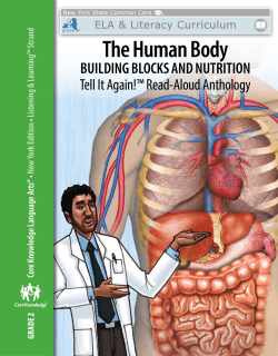 The Human Body