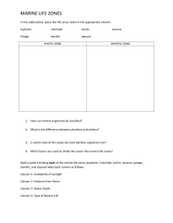 marine life zones - Lemon Bay High School