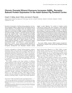 Chronic Prenatal Ethanol Exposure Increases