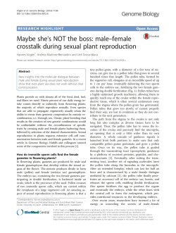 male&ndash;female crosstalk during sexual plant reproduction