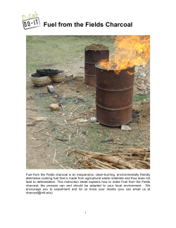 Fuel from the Fields Charcoal - MIT D-Lab
