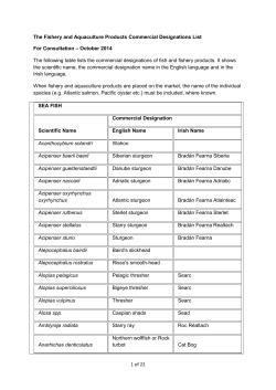 Commercial Designation List