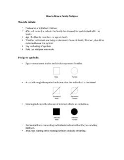 How to Create a Family Pedigree