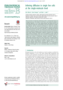 Inferring diffusion in single live cells at the single