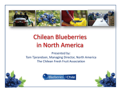 Chilean Blueberries in North America