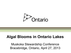 Algal Blooms in Ontario Lakes