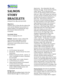 salmon story bracelets - Fauntleroy Watershed Council
