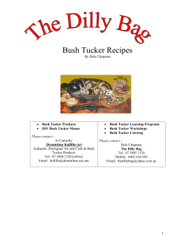 Bush Tucker Recipes - The Guringai Festival