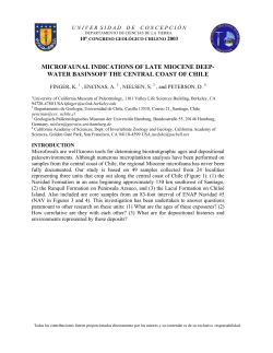 Problemas de dataci&oacute;n de la Formaci&oacute;n Navidad y possibles