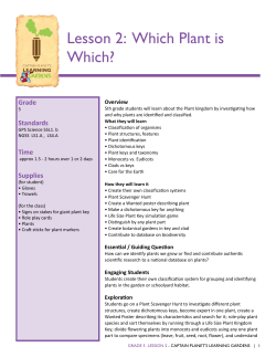 Lesson 2: Which Plant is Which?