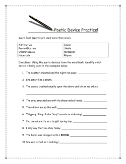 Poetic Device Practice! - Easy Peasy All-in