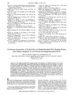 Continuous Association of Escherichia coli Single
