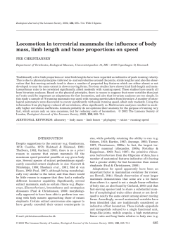 Locomotion in terrestrial mammals: the influence