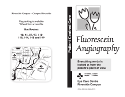 Fluorescein Angiography
