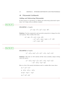 Polynomial Arithmetic