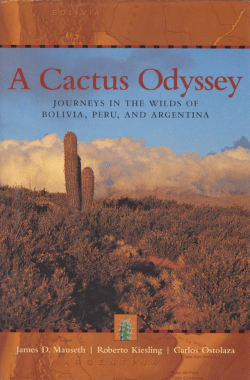 A Cactus Odyssey