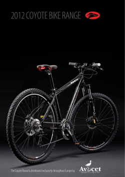 avocet sports limited