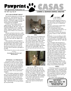 File - Carrie A. Seaman Animal Shelter