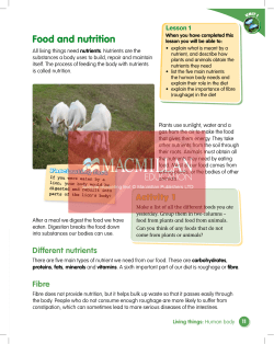 Food and nutrition