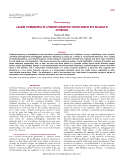 Commentary Cellular mechanisms of Cnidarian - SERC