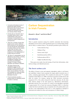 Carbon Sequestration in Irish Forests