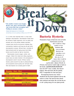 Bacteria Hysteria