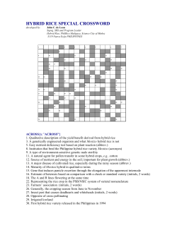 hybrid rice special crossword