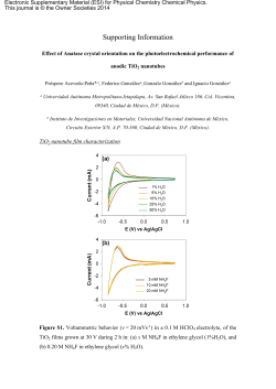 Supporting Information