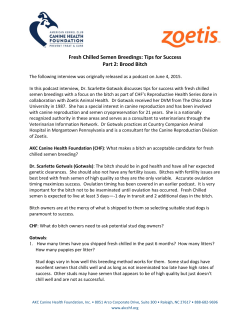 Fresh Chilled Semen Breedings - AKC Canine Health Foundation