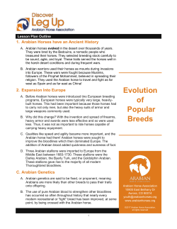 Evolution of Popular Breeds