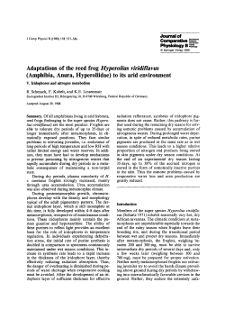 Adaptations of the reed frog Hyperolius viridiflavus (Amphibia, Anura