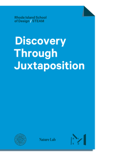 Discovery Through Juxtaposition