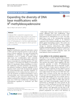 Expanding the diversity of DNA base modifications