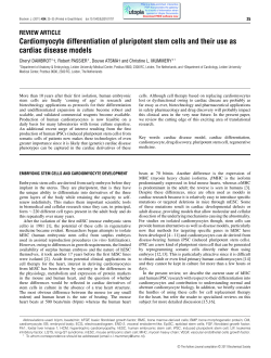 Cardiomyocyte differentiation of pluripotent stem cells and their use