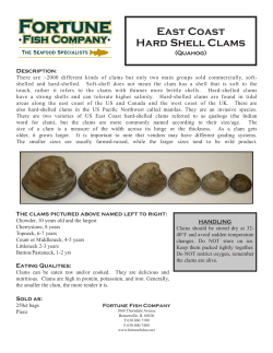 East Coast Hard Shell Clams