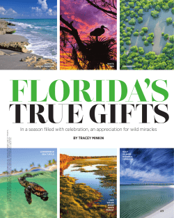 Florida`s True Gifts