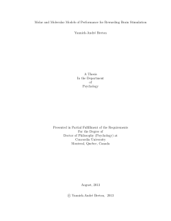 Molar and Molecular Models of Performance for Rewarding Brain