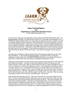 Crate Training Basics