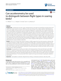 Can accelerometry be used to distinguish between flight types in