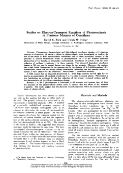 Studies on Electron-Transport Reactions of Photosynthesis in