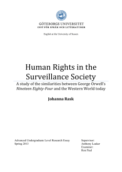 Human Rights in the Surveillance Society