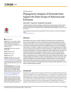Phylogenetic Analyses of Echinodermata Support