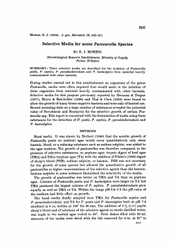 Selective Media for some Pastewella Species