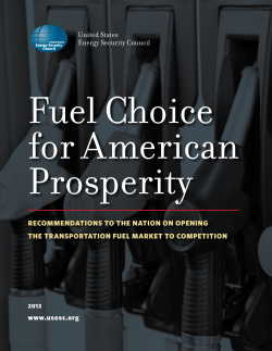 United States Energy Security Council