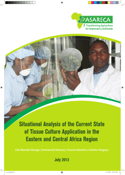 Situational Analysis of the Current State of Tissue Culture