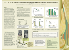 IN VITRO FERTILITY OF BOAR SPERMATOZOA PRESERVED AT