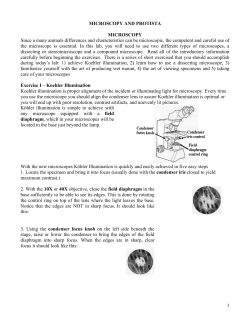1 MICROSCOPY AND PROTISTA MICROSCOPY Since a many