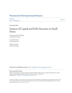 Sources of Capital and Debt Structure in Small Firms