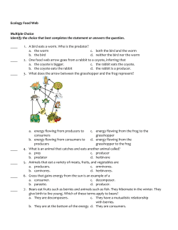food web quiz_14